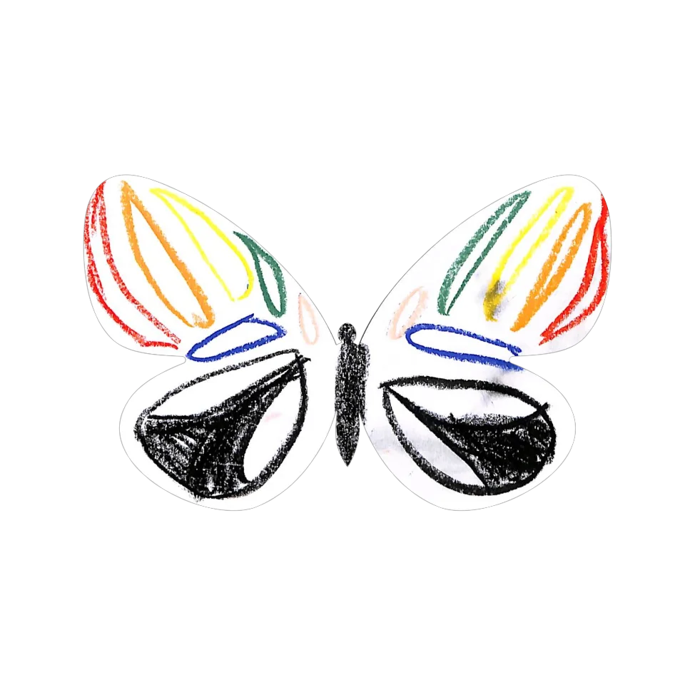 Original Butterfly Image