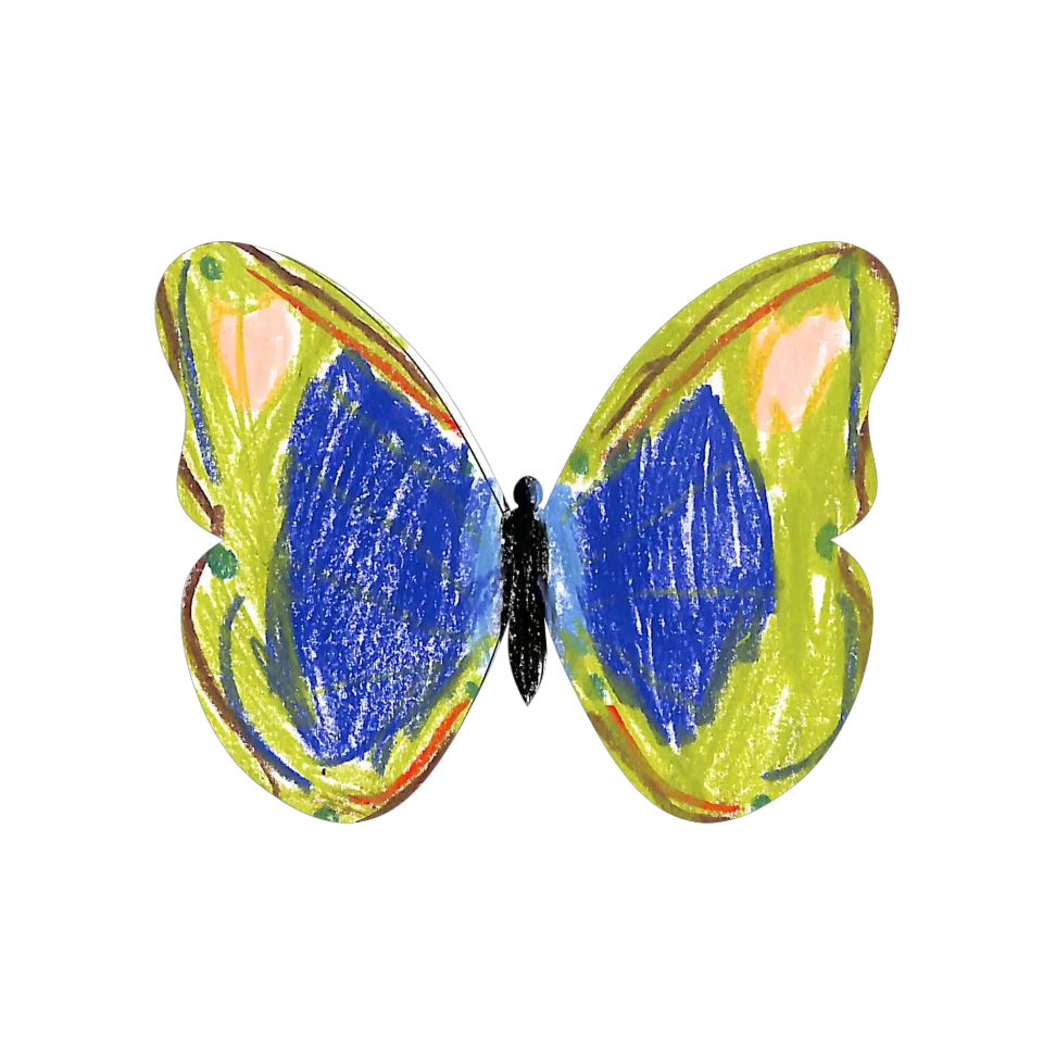 Original Butterfly Image