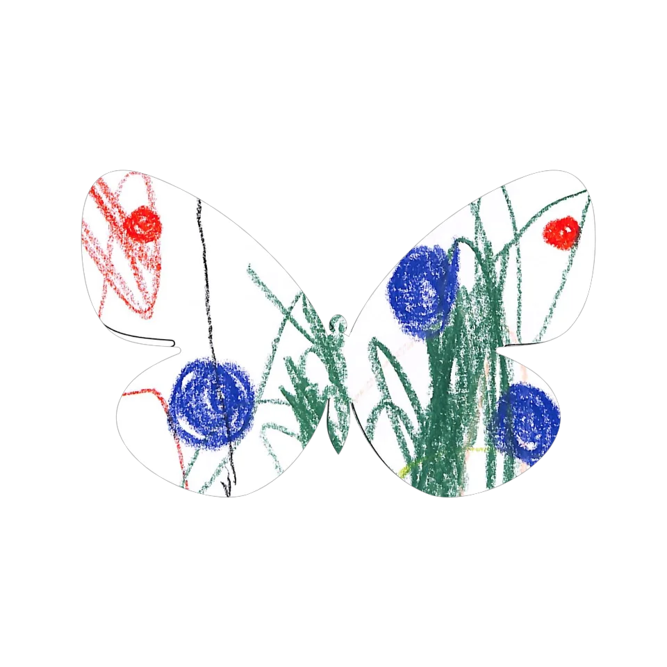 Original Butterfly Image