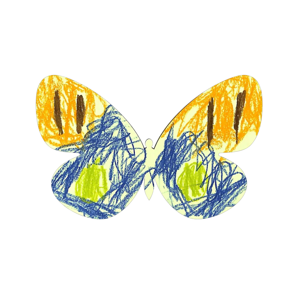 Original Butterfly Image