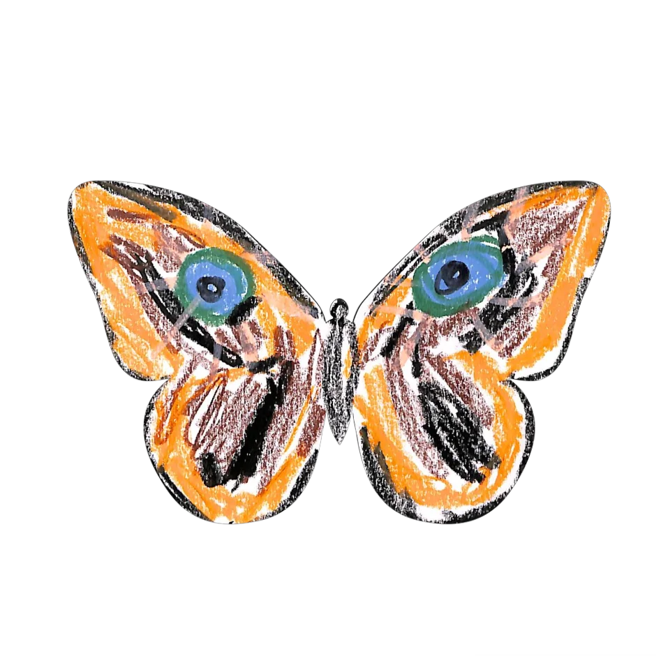 Original Butterfly Image