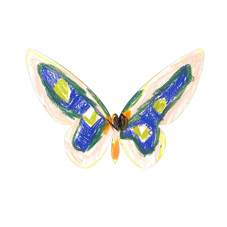Original Butterfly Image