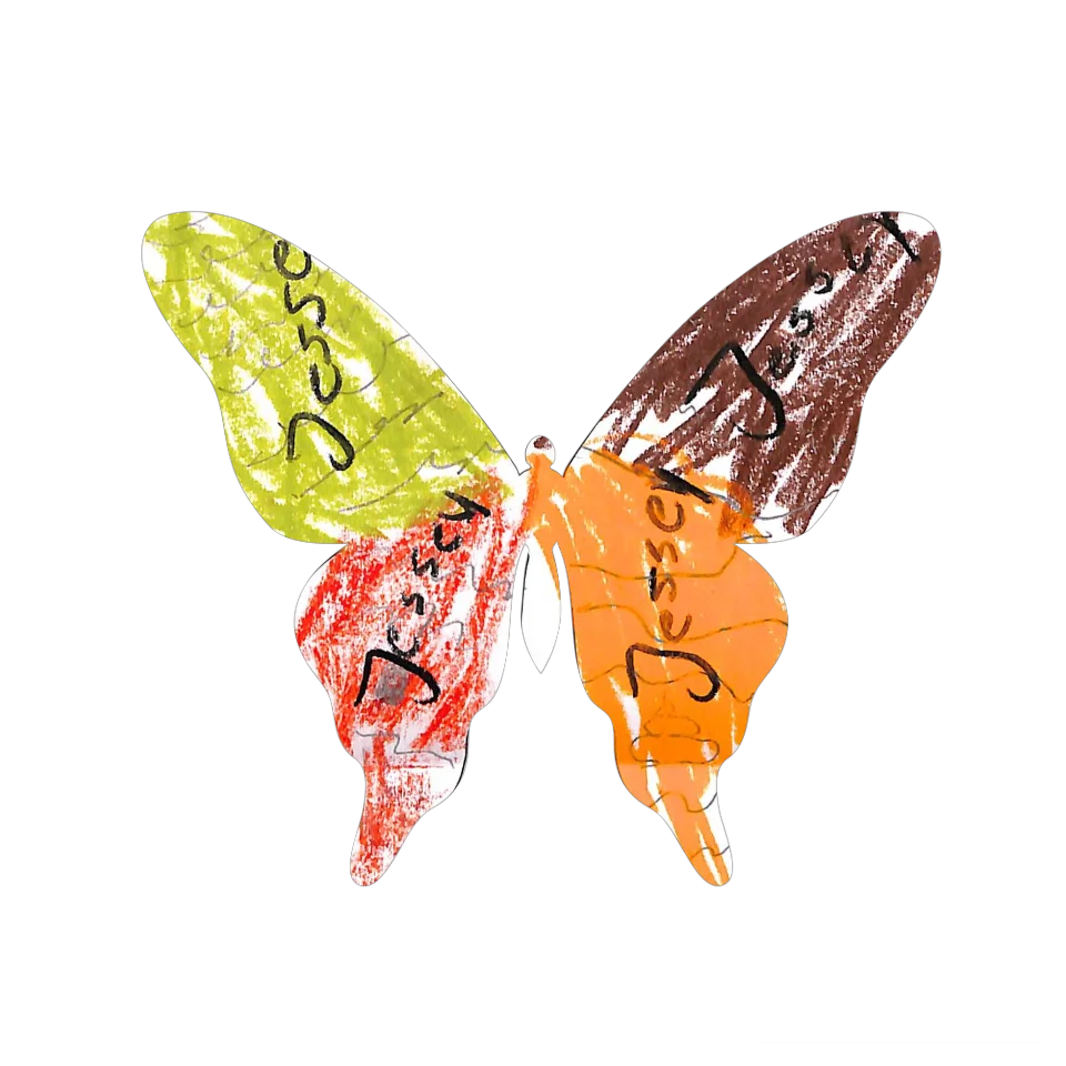 Original Butterfly Image
