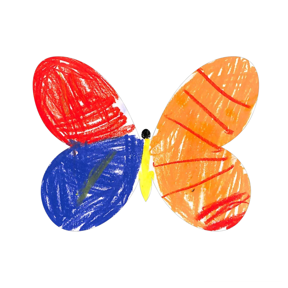 Original Butterfly Image