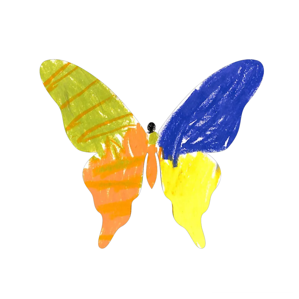 Original Butterfly Image