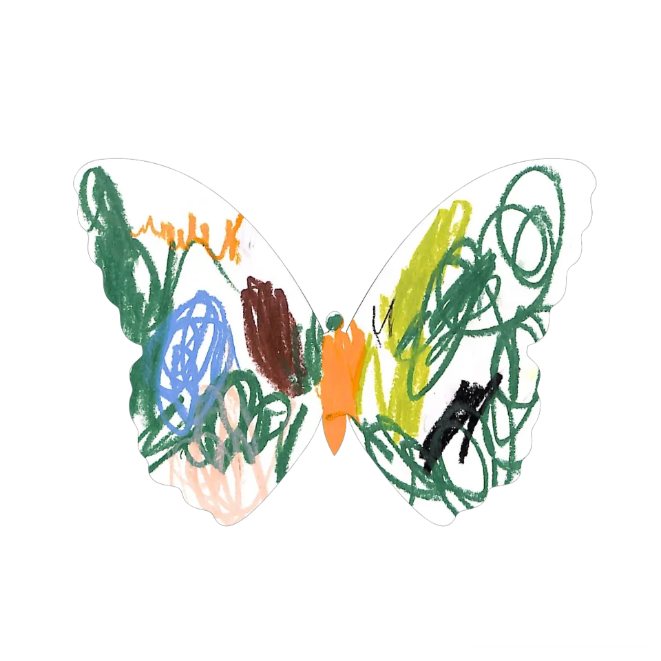 Original Butterfly Image