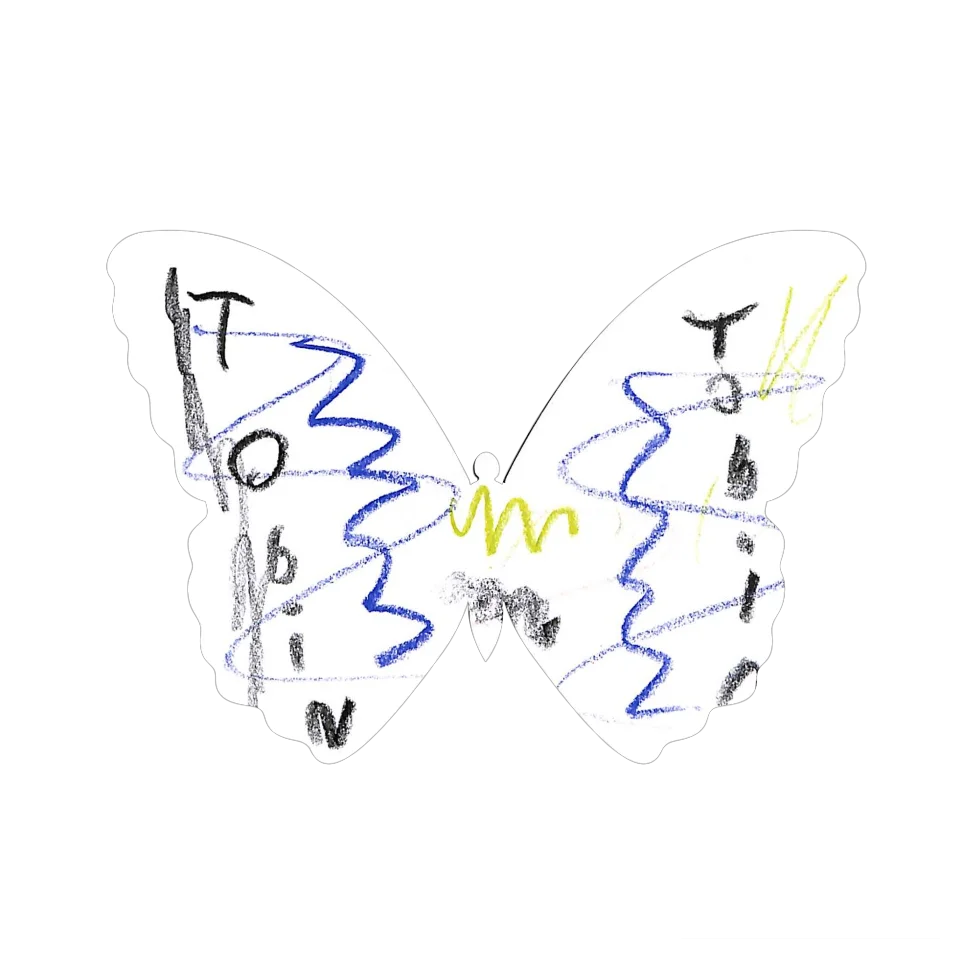 Original Butterfly Image