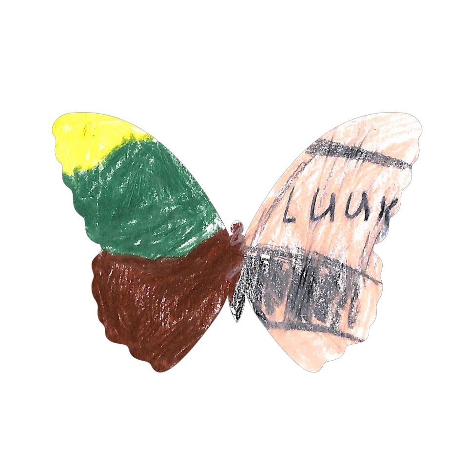 Original Butterfly Image