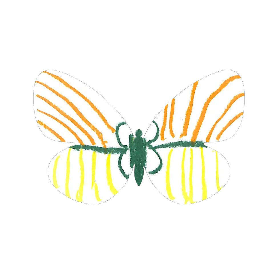 Original Butterfly Image
