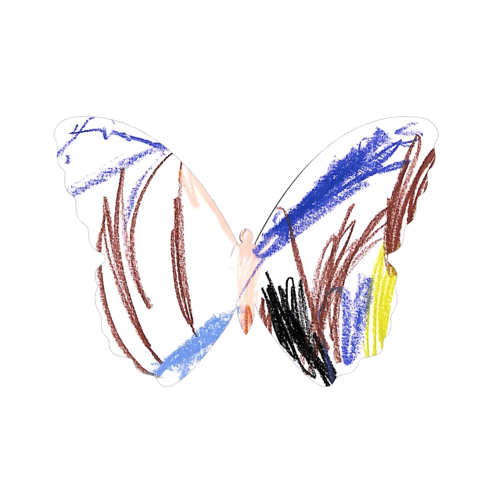 Original Butterfly Image