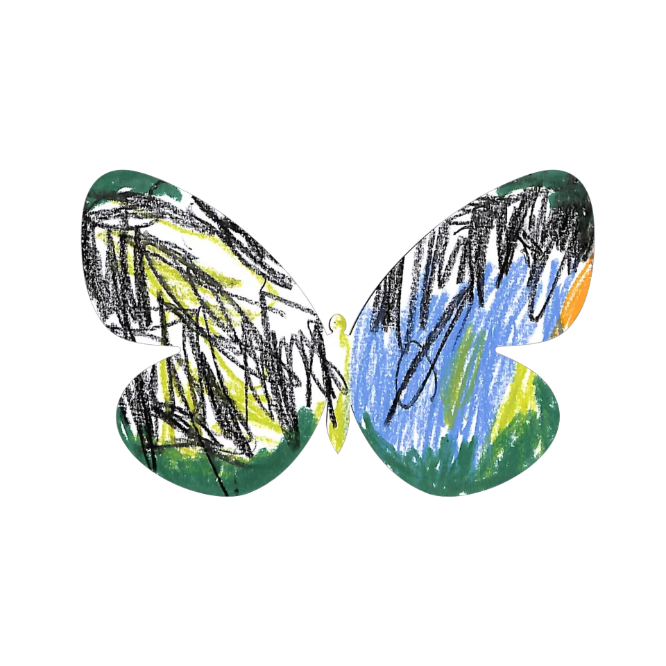 Original Butterfly Image