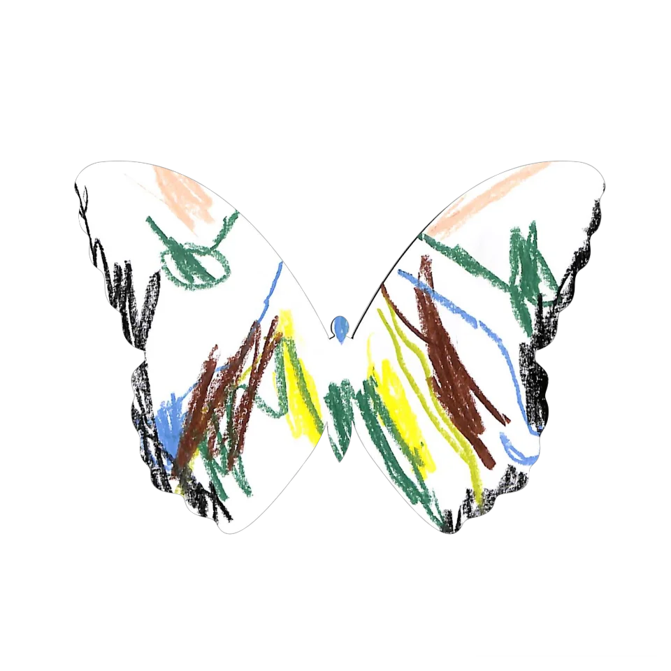 Original Butterfly Image