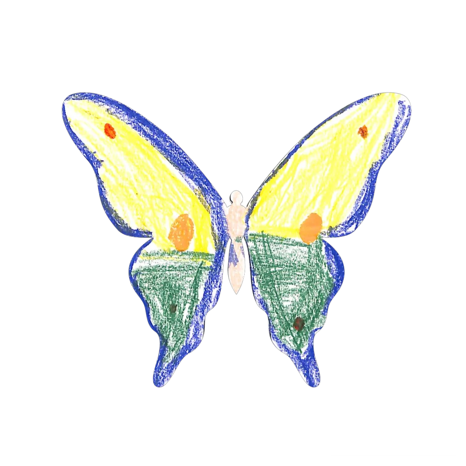 Original Butterfly Image