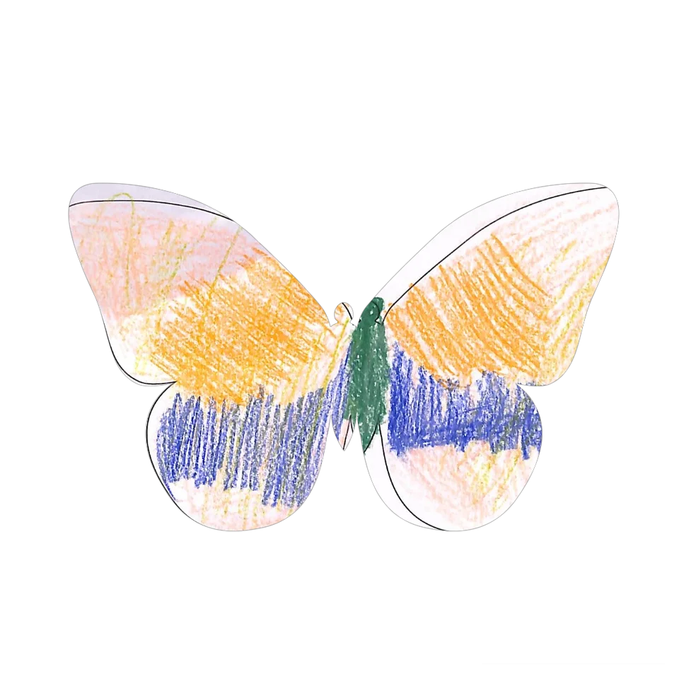 Original Butterfly Image
