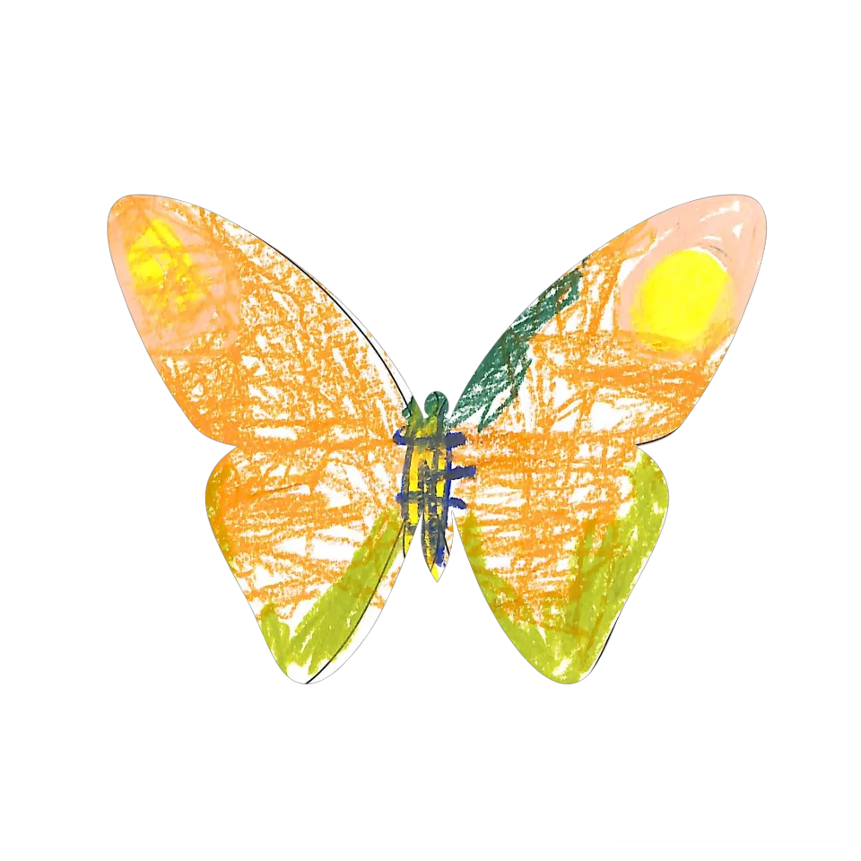 Original Butterfly Image