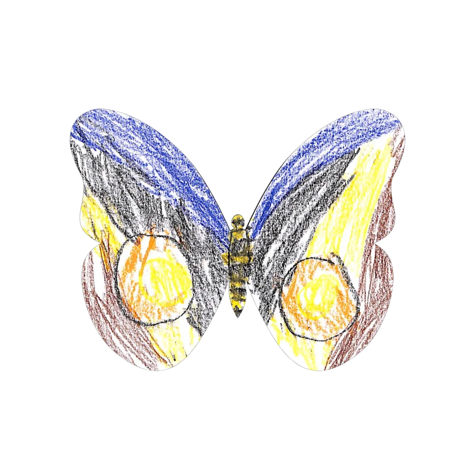 Original Butterfly Image