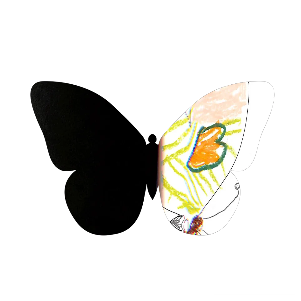 Original Butterfly Image