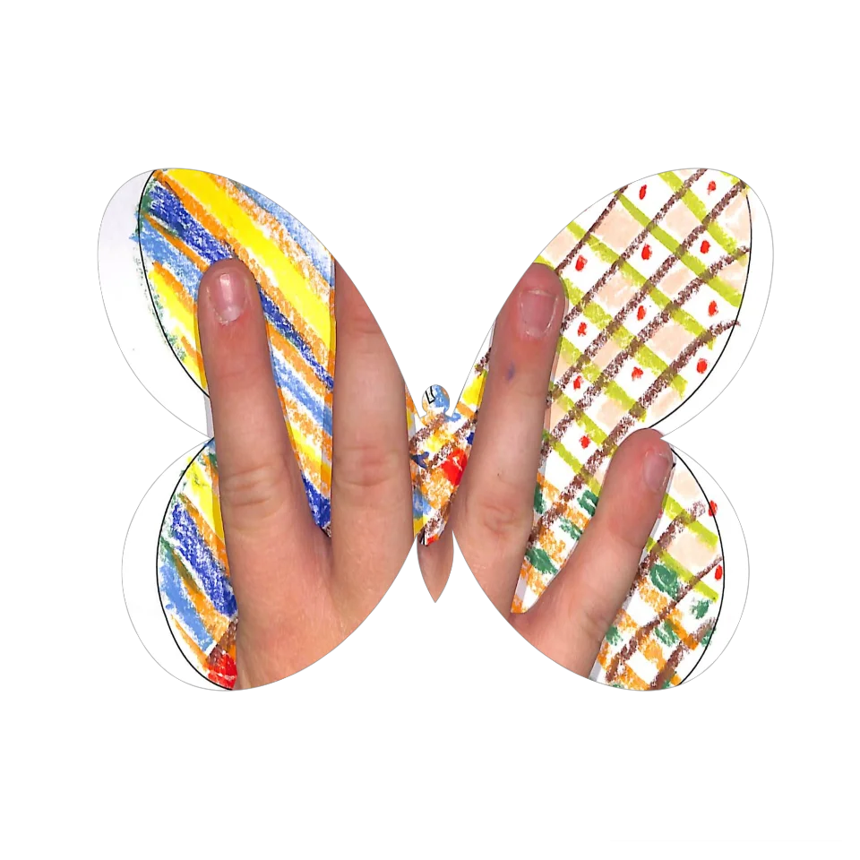 Original Butterfly Image