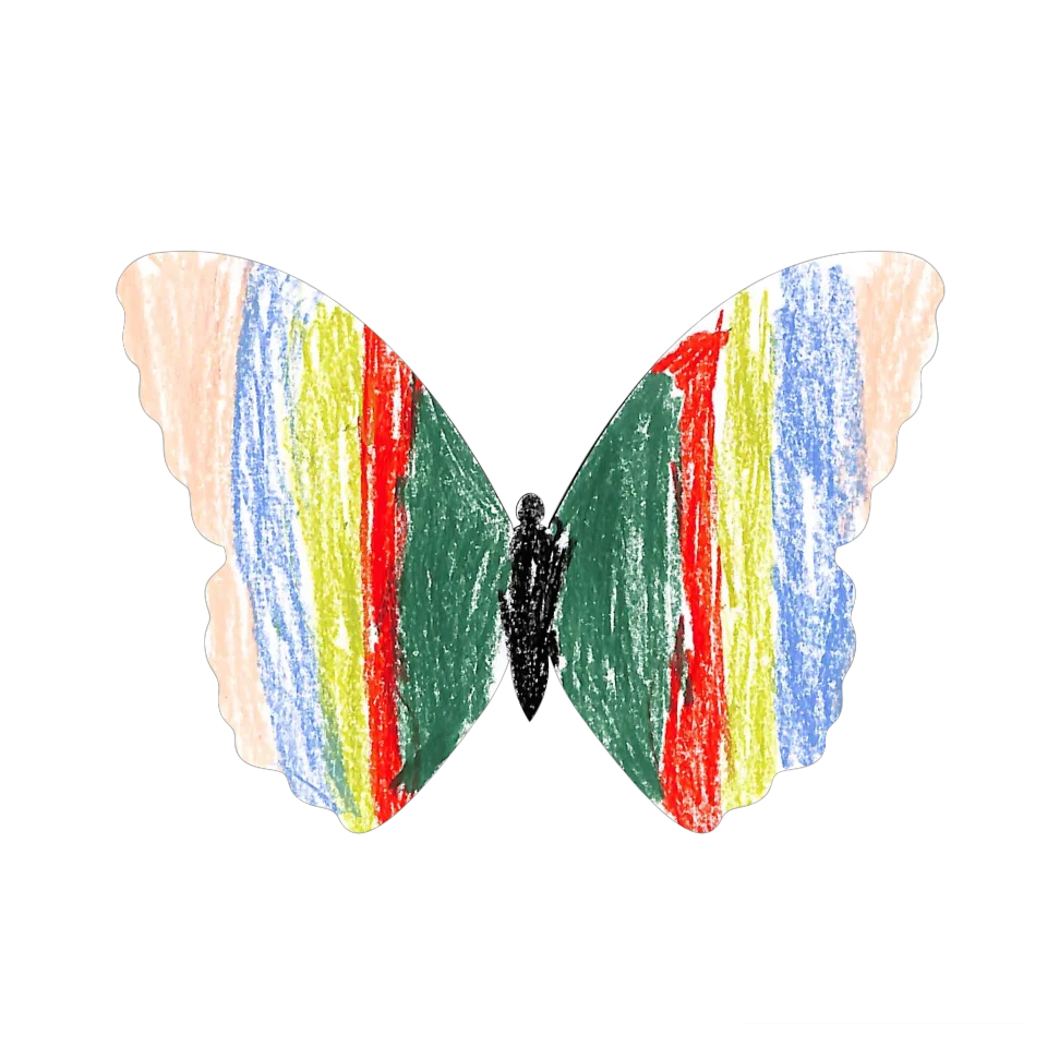Original Butterfly Image