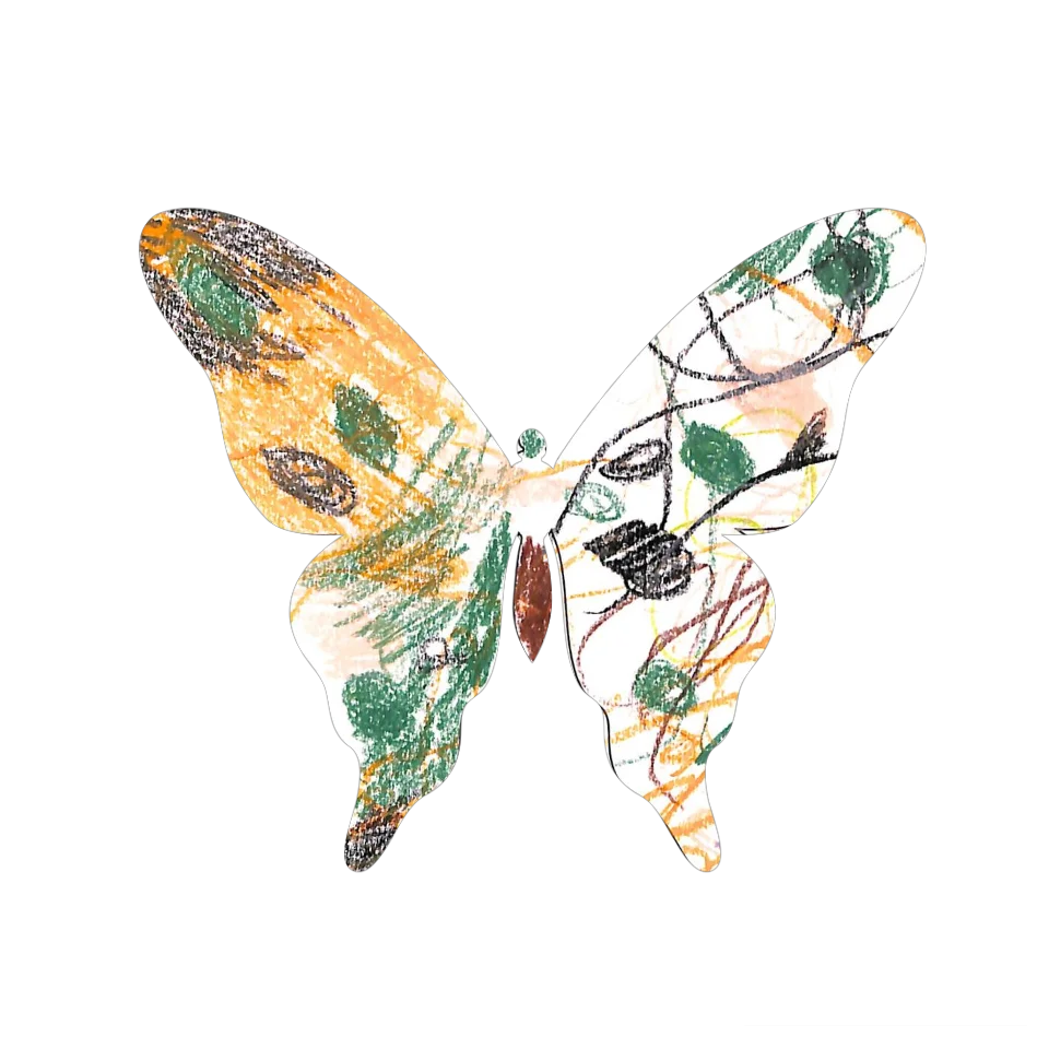 Original Butterfly Image