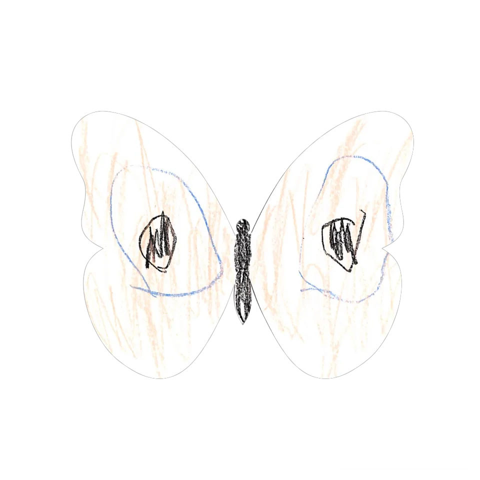 Original Butterfly Image