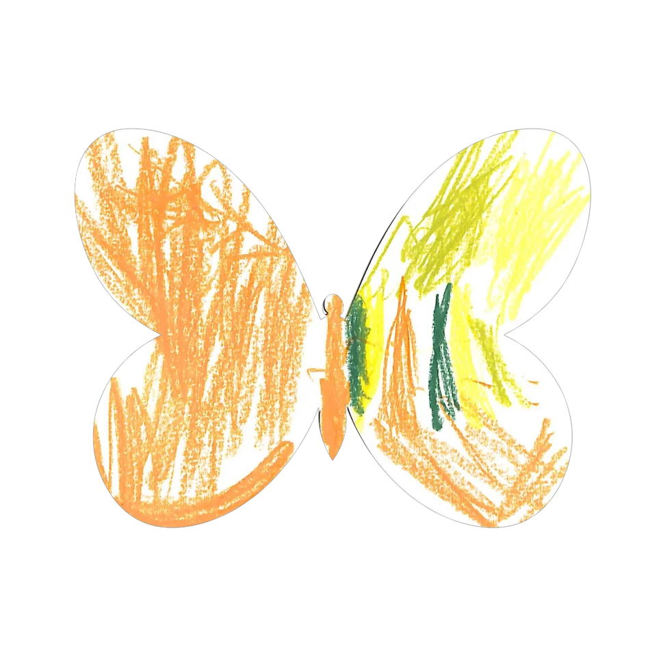 Original Butterfly Image