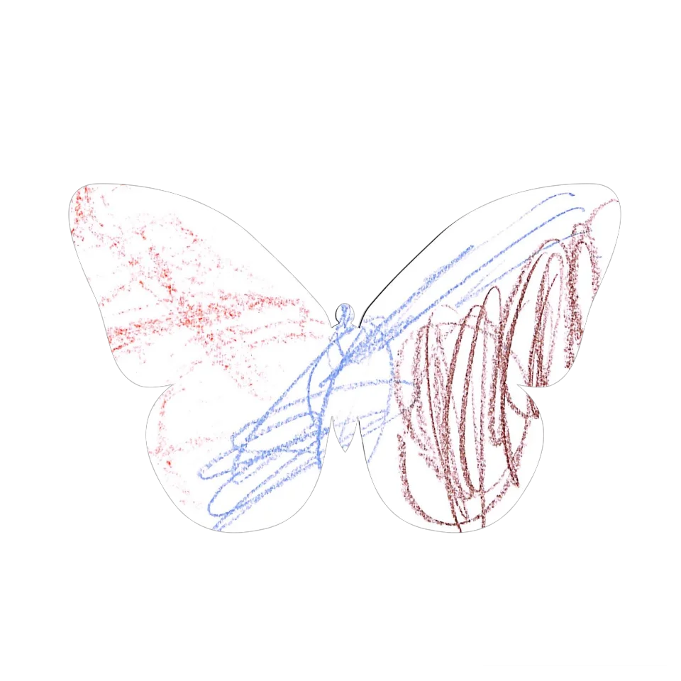 Original Butterfly Image