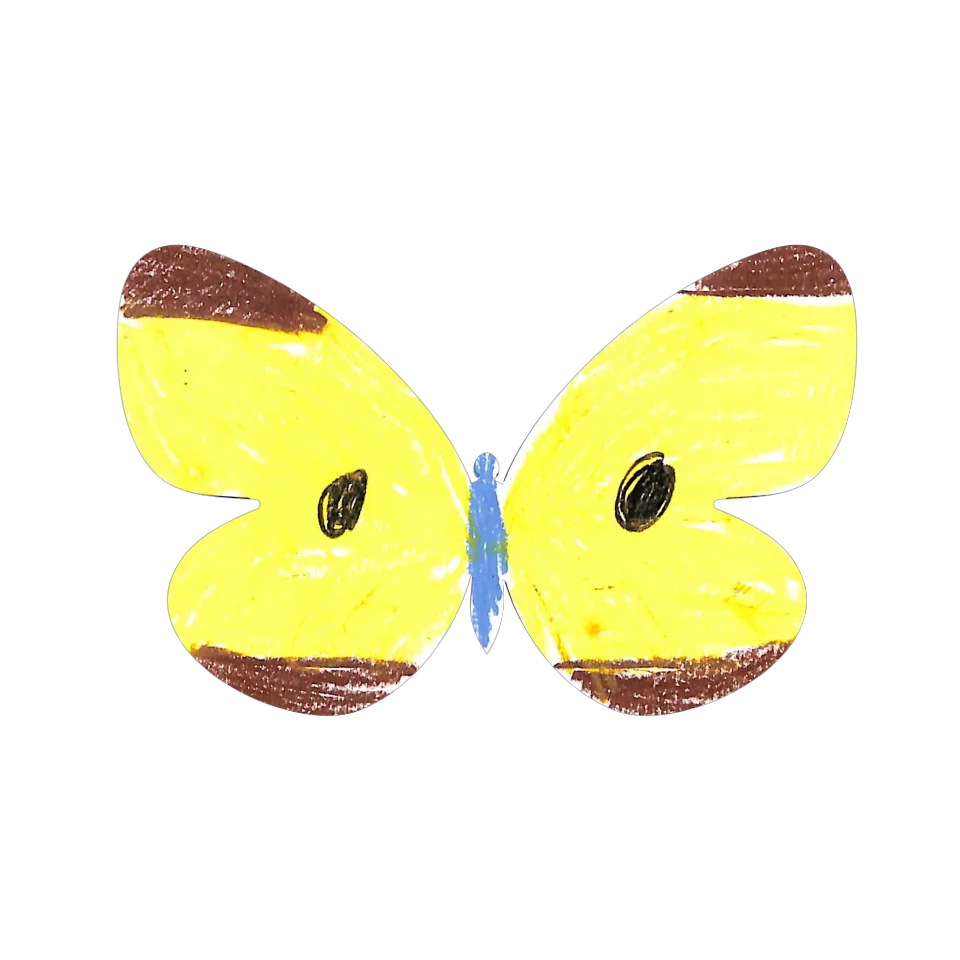 Original Butterfly Image