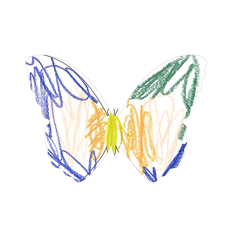 Original Butterfly Image