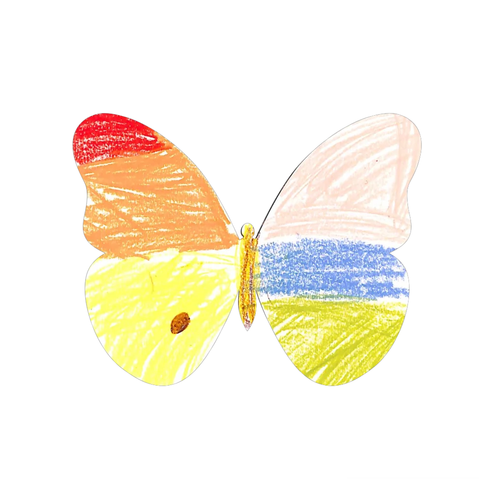 Original Butterfly Image