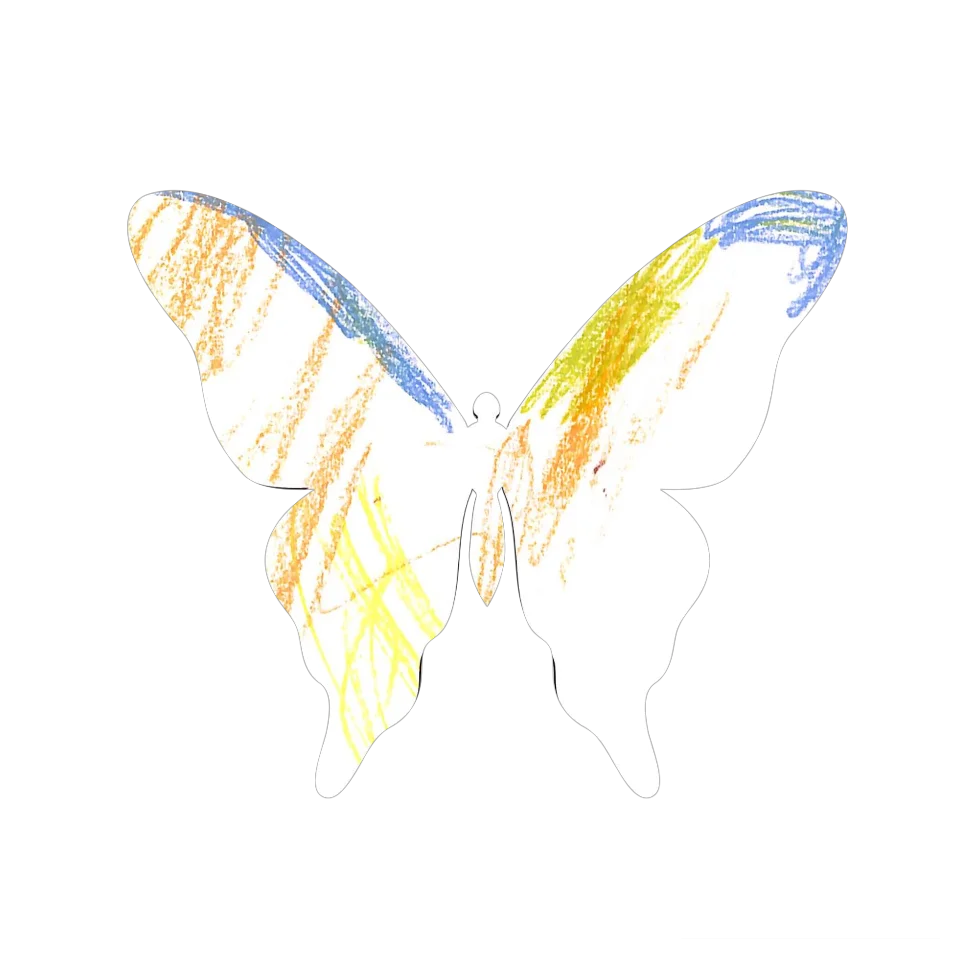 Original Butterfly Image