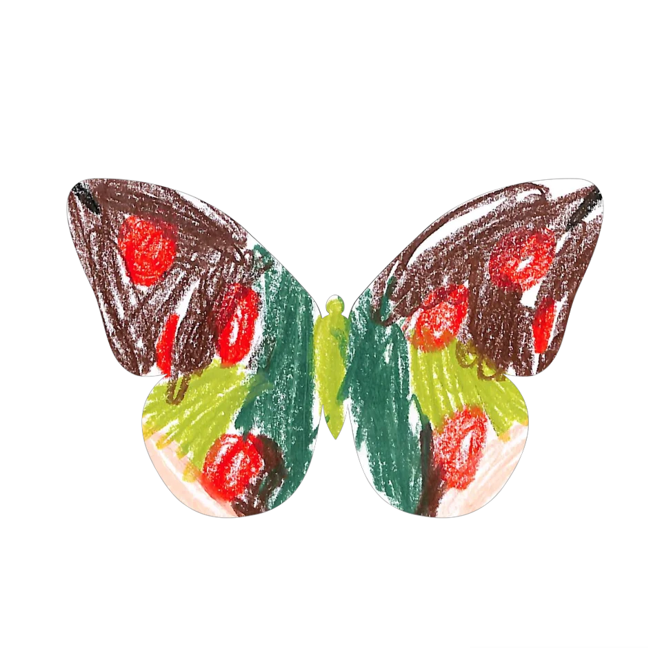 Original Butterfly Image