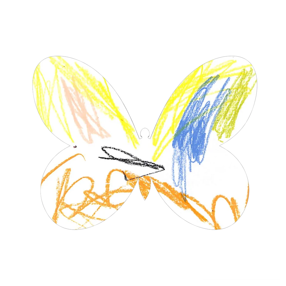 Original Butterfly Image