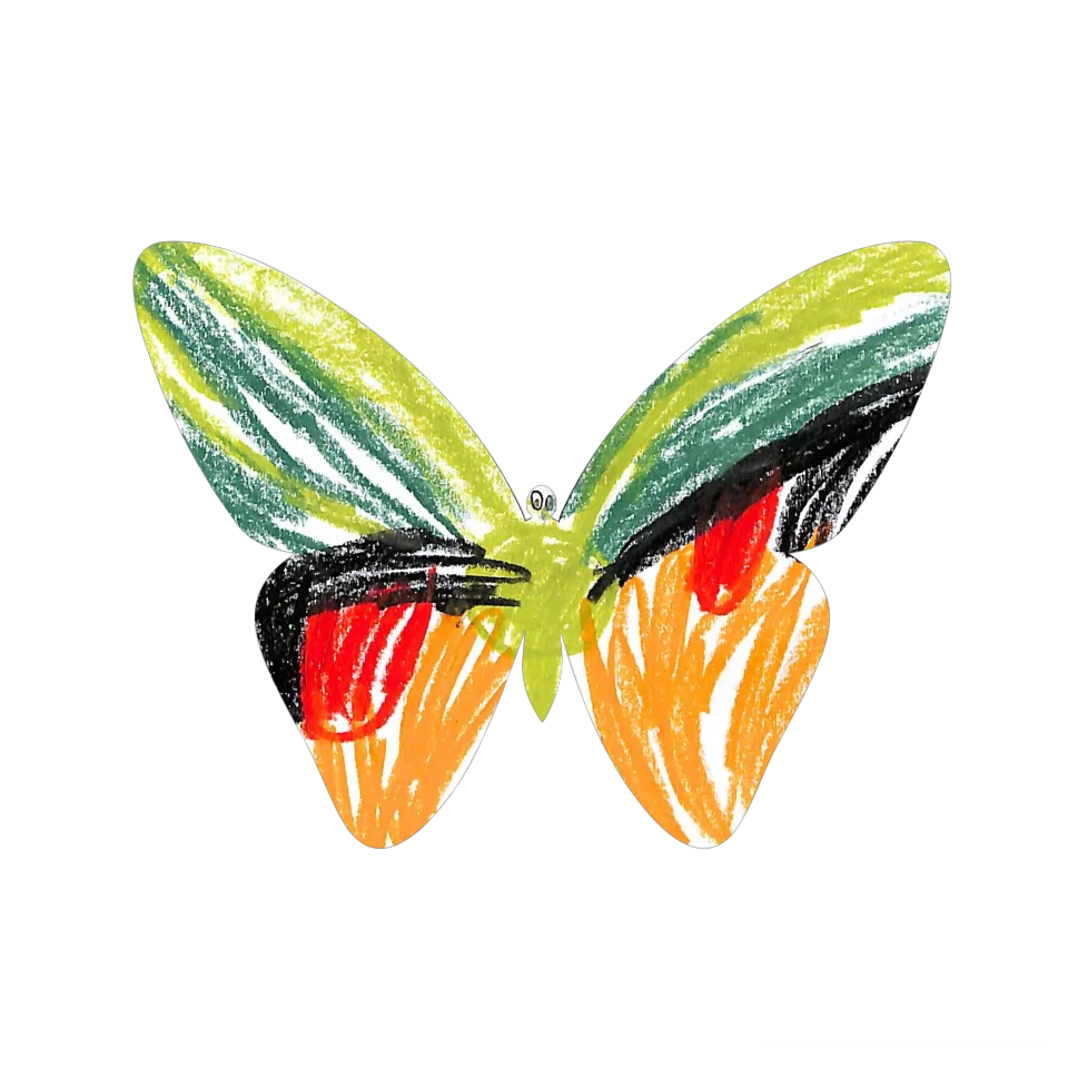 Original Butterfly Image