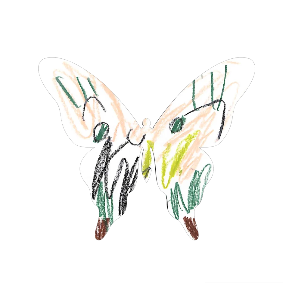Original Butterfly Image