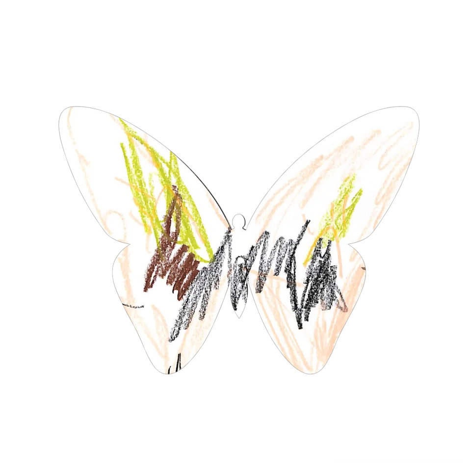 Original Butterfly Image