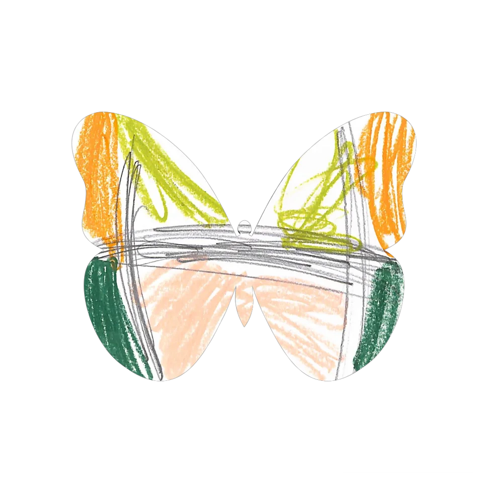 Original Butterfly Image