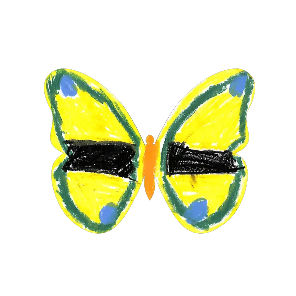 Original Butterfly Image