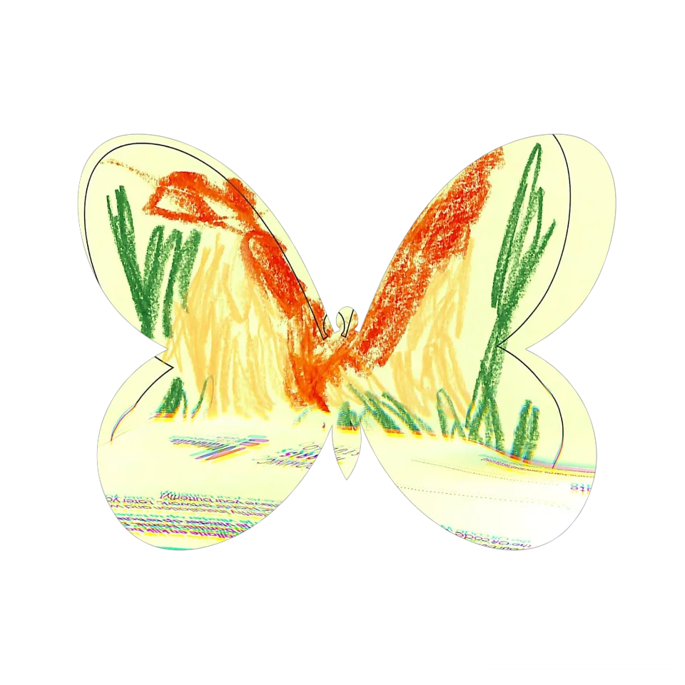 Original Butterfly Image