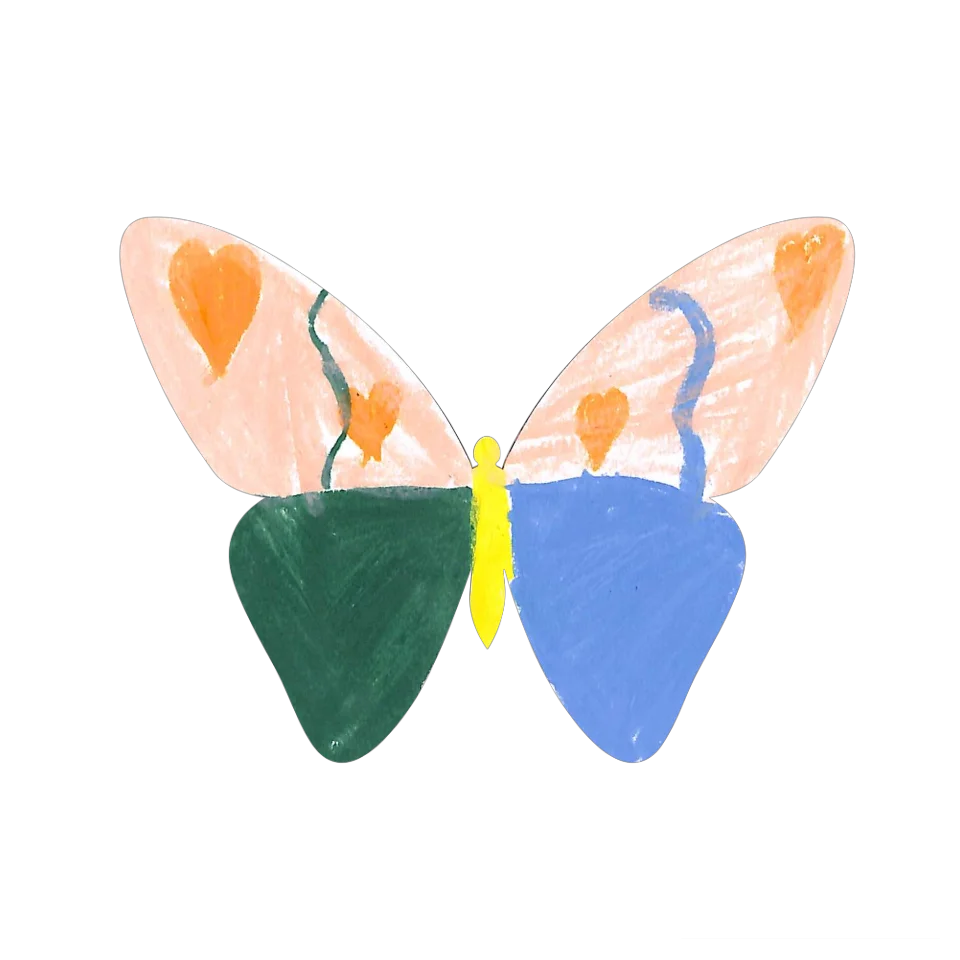 Original Butterfly Image