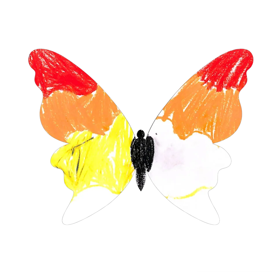 Original Butterfly Image