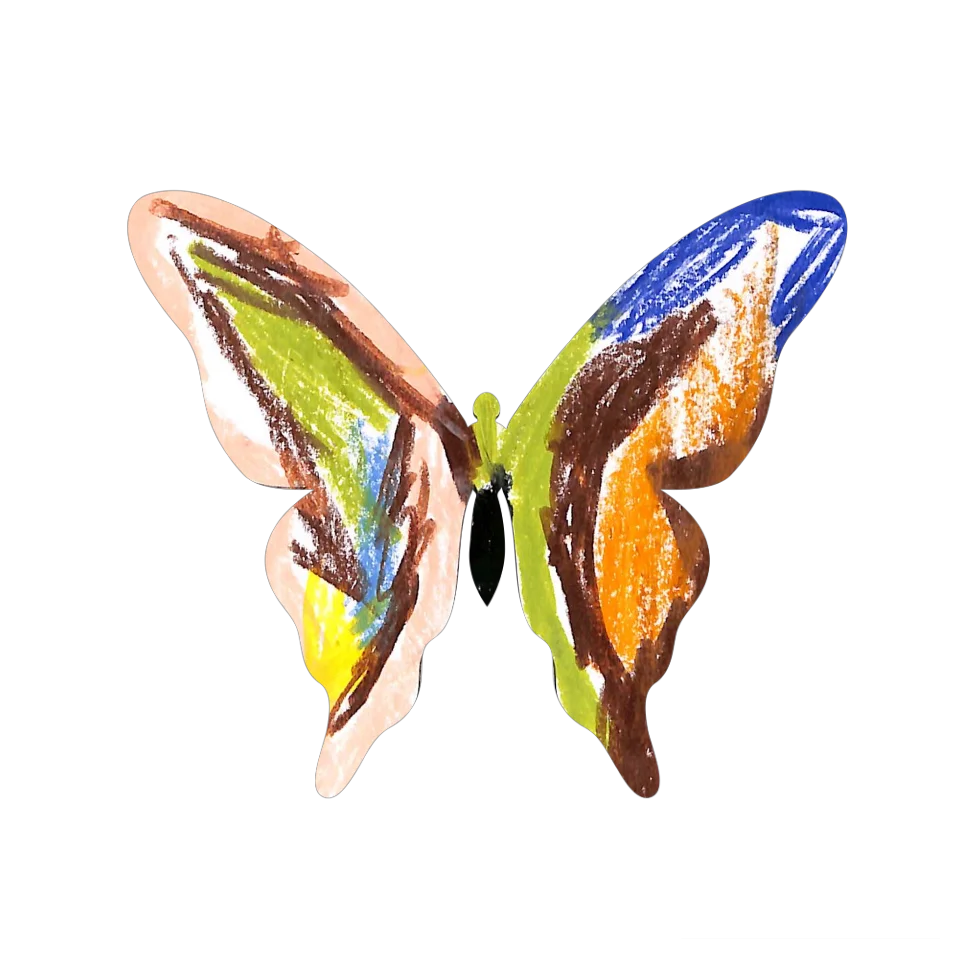 Original Butterfly Image