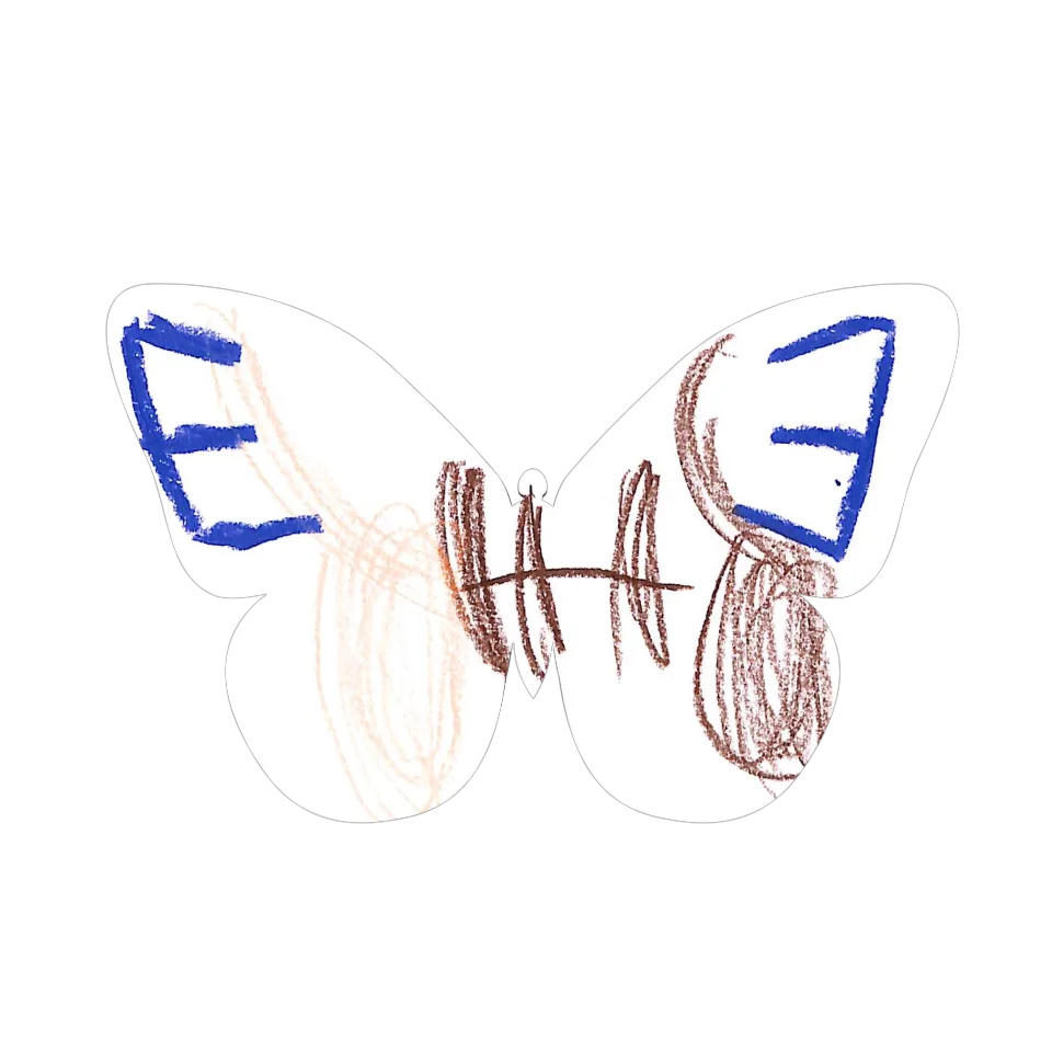 Original Butterfly Image