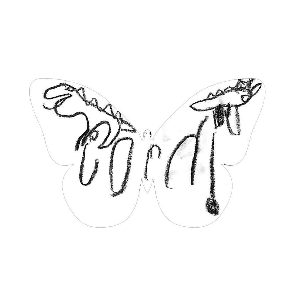 Original Butterfly Image