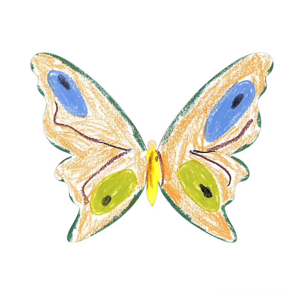 Original Butterfly Image
