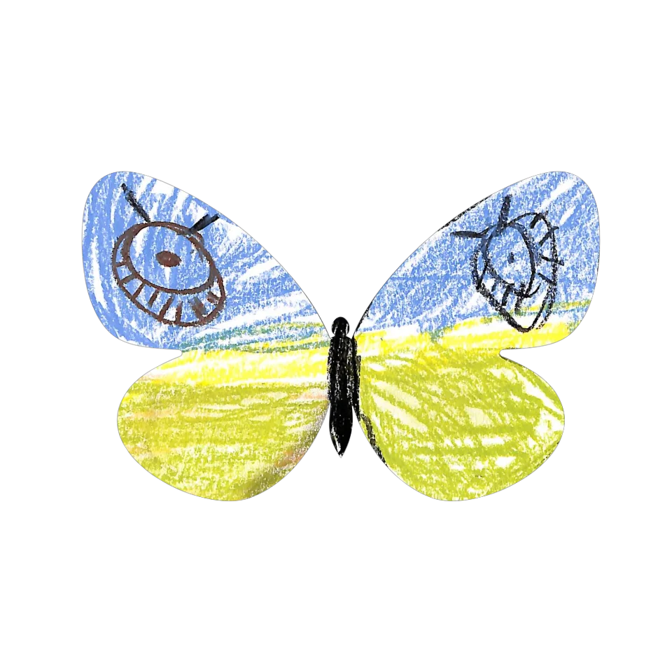 Original Butterfly Image