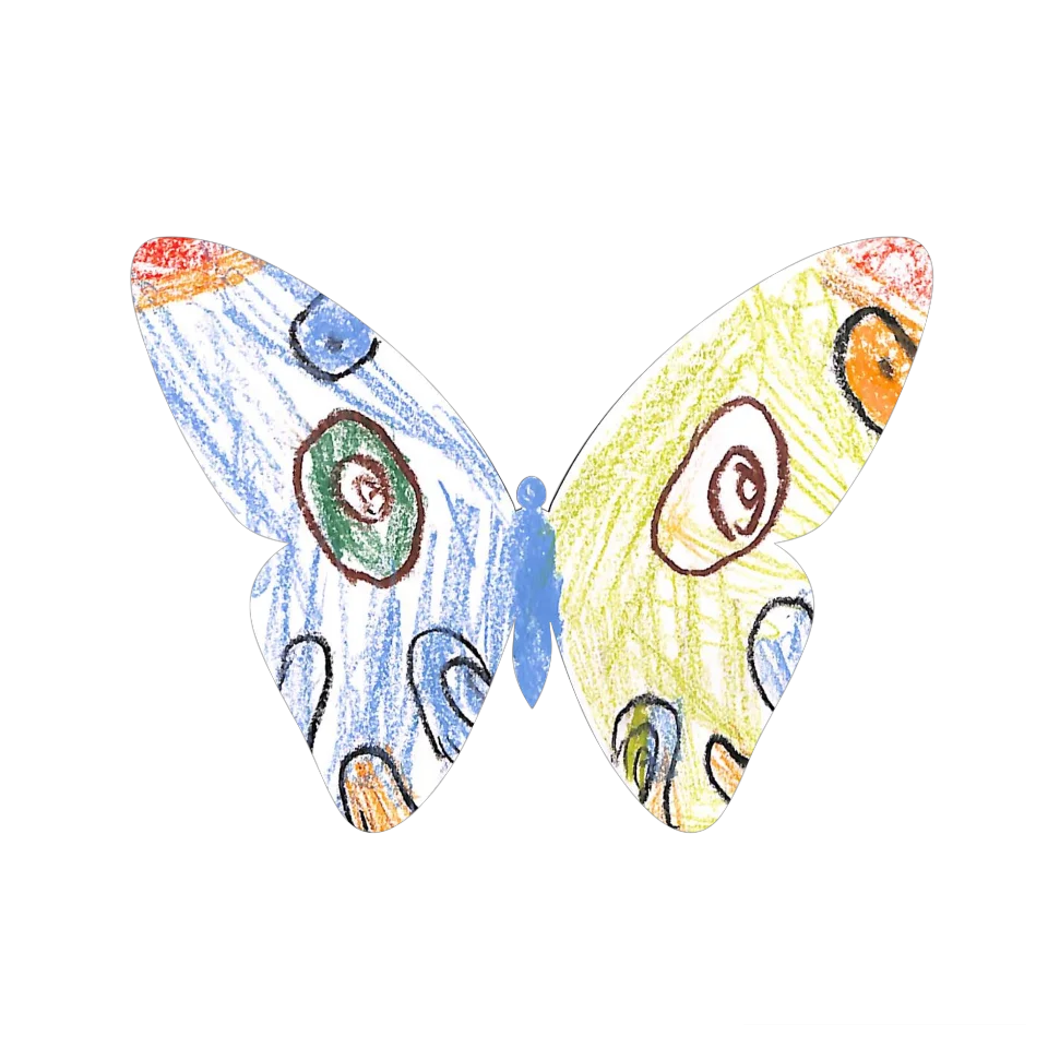 Original Butterfly Image