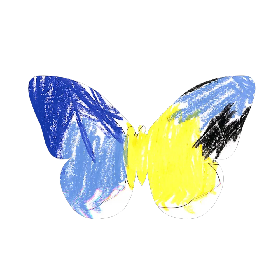 Original Butterfly Image