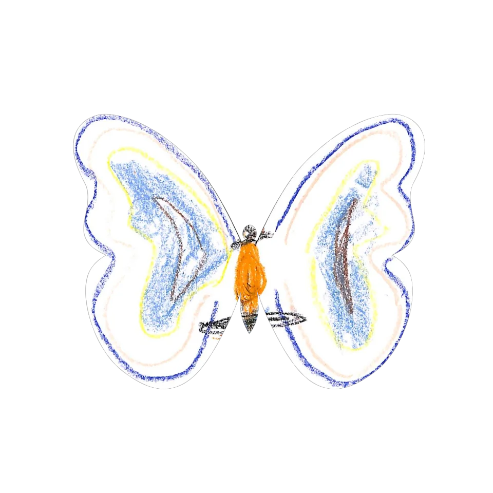 Original Butterfly Image