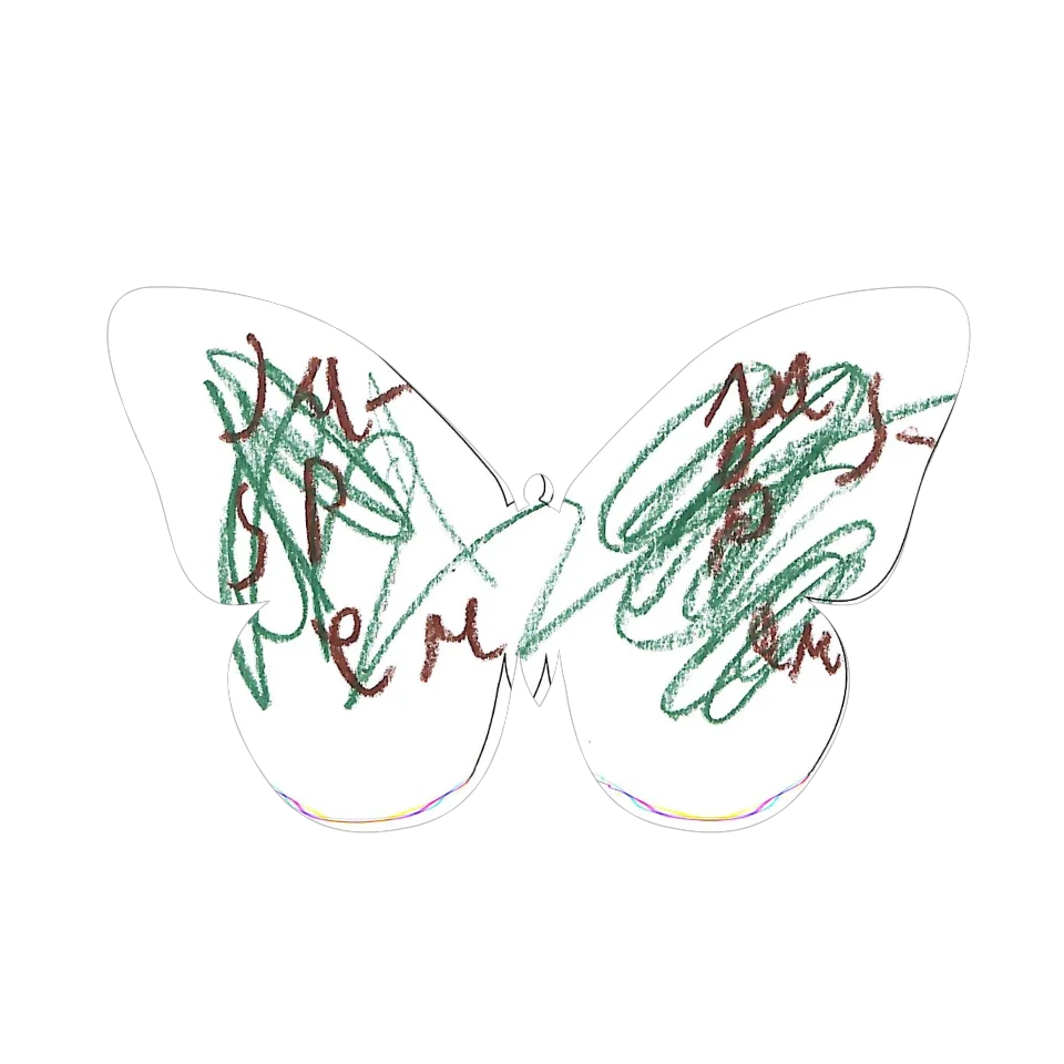 Original Butterfly Image